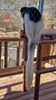 Filename=20240413_016.jpg
Filesize=710KiB
Dimensions=1152x2048
Date added=Mar 18, 2025 20240413_016.jpg