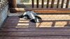 Filename=20240413_017.jpg
Filesize=650KiB
Dimensions=2048x1152
Date added=Mar 18, 2025 20240413_017.jpg