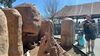 Filename=20240413_022.jpg
Filesize=571KiB
Dimensions=2048x1152
Date added=Mar 18, 2025 20240413_022.jpg