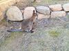 Filename=20240413_030.jpg
Filesize=1093KiB
Dimensions=2048x1536
Date added=Mar 18, 2025 20240413_030.jpg