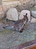 Filename=20240413_031.jpg
Filesize=961KiB
Dimensions=1536x2048
Date added=Mar 18, 2025 20240413_031.jpg