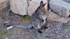 Filename=20240413_036.jpg
Filesize=780KiB
Dimensions=2048x1152
Date added=Mar 18, 2025 20240413_036.jpg