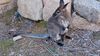 Filename=20240413_037.jpg
Filesize=845KiB
Dimensions=2048x1152
Date added=Mar 18, 2025 20240413_037.jpg