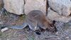 Filename=20240413_038.jpg
Filesize=692KiB
Dimensions=2048x1152
Date added=Mar 18, 2025 20240413_038.jpg