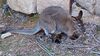 Filename=20240413_039.jpg
Filesize=707KiB
Dimensions=2048x1152
Date added=Mar 18, 2025 20240413_039.jpg