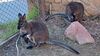Filename=20240413_042.jpg
Filesize=769KiB
Dimensions=2048x1152
Date added=Mar 18, 2025 20240413_042.jpg