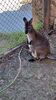 Filename=20240413_043.jpg
Filesize=750KiB
Dimensions=1152x2048
Date added=Mar 18, 2025 20240413_043.jpg