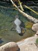 Filename=20240413_045.jpg
Filesize=738KiB
Dimensions=1536x2048
Date added=Mar 18, 2025 20240413_045.jpg