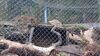 Filename=20240413_048.jpg
Filesize=799KiB
Dimensions=2048x1152
Date added=Mar 18, 2025 20240413_048.jpg