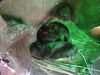 Filename=20240413_053.jpg
Filesize=603KiB
Dimensions=2048x1536
Date added=Mar 18, 2025 20240413_053.jpg