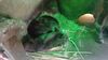 Filename=20240413_054.jpg
Filesize=397KiB
Dimensions=2048x1152
Date added=Mar 18, 2025 20240413_054.jpg