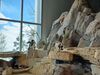 Filename=20240413_056.jpg
Filesize=569KiB
Dimensions=2048x1536
Date added=Mar 18, 2025 20240413_056.jpg