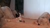 Filename=20240413_058.jpg
Filesize=351KiB
Dimensions=2048x1152
Date added=Mar 18, 2025 20240413_058.jpg