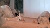 Filename=20240413_059.jpg
Filesize=428KiB
Dimensions=2048x1152
Date added=Mar 18, 2025 20240413_059.jpg
