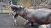 Filename=20240413_065.jpg
Filesize=845KiB
Dimensions=2048x1152
Date added=Mar 18, 2025 20240413_065.jpg