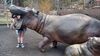 Filename=20240413_066.jpg
Filesize=832KiB
Dimensions=2048x1152
Date added=Mar 18, 2025 20240413_066.jpg
