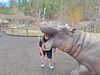 Filename=20240413_067.jpg
Filesize=1278KiB
Dimensions=2048x1536
Date added=Mar 18, 2025 20240413_067.jpg