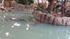 Filename=20240413_070.jpg
Filesize=541KiB
Dimensions=2048x1152
Date added=Mar 18, 2025 20240413_070.jpg