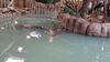 Filename=20240413_071.jpg
Filesize=501KiB
Dimensions=2048x1152
Date added=Mar 18, 2025 20240413_071.jpg