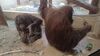 Filename=20240413_077.jpg
Filesize=344KiB
Dimensions=2048x1152
Date added=Mar 18, 2025 20240413_077.jpg