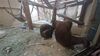 Filename=20240413_079.jpg
Filesize=417KiB
Dimensions=2048x1152
Date added=Mar 18, 2025 20240413_079.jpg