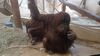 Filename=20240413_082.jpg
Filesize=394KiB
Dimensions=2048x1152
Date added=Mar 18, 2025 20240413_082.jpg