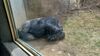 Filename=20240413_083.jpg
Filesize=756KiB
Dimensions=2048x1152
Date added=Mar 18, 2025 20240413_083.jpg