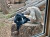 Filename=20240413_084.jpg
Filesize=842KiB
Dimensions=2048x1536
Date added=Mar 18, 2025 20240413_084.jpg