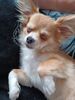 Filename=20240418_001.jpg
Filesize=399KiB
Dimensions=1536x2048
Date added=Mar 18, 2025 20240418_001.jpg