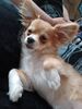 Filename=20240418_002.jpg
Filesize=317KiB
Dimensions=1536x2048
Date added=Mar 18, 2025 20240418_002.jpg