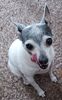 Filename=20240419_002.jpg
Filesize=342KiB
Dimensions=1270x2047
Date added=Mar 18, 2025 20240419_002.jpg