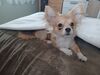 Filename=20240422_008.jpg
Filesize=503KiB
Dimensions=2048x1536
Date added=Mar 18, 2025 20240422_008.jpg