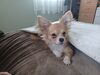 Filename=20240422_009.jpg
Filesize=398KiB
Dimensions=2048x1536
Date added=Mar 18, 2025 20240422_009.jpg