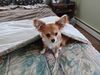 Filename=20240429_001.jpg
Filesize=401KiB
Dimensions=2048x1536
Date added=Mar 18, 2025 20240429_001.jpg