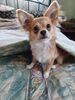 Filename=20240429_002.jpg
Filesize=368KiB
Dimensions=1536x2048
Date added=Mar 18, 2025 20240429_002.jpg