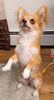 Filename=20240429_003.jpg
Filesize=228KiB
Dimensions=1107x2046
Date added=Mar 18, 2025 20240429_003.jpg