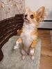 Filename=20240429_004.jpg
Filesize=382KiB
Dimensions=1536x2048
Date added=Mar 18, 2025 20240429_004.jpg