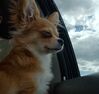 Filename=20240429_006.jpg
Filesize=413KiB
Dimensions=2048x1943
Date added=Mar 18, 2025 20240429_006.jpg