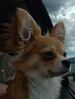 Filename=20240429_007.jpg
Filesize=325KiB
Dimensions=1554x2047
Date added=Mar 18, 2025 20240429_007.jpg