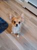 Filename=20240501_001.jpg
Filesize=240KiB
Dimensions=1536x2048
Date added=Mar 23, 2025 20240501_001.jpg