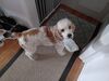 Filename=20240502_003.jpg
Filesize=462KiB
Dimensions=2048x1536
Date added=Mar 23, 2025 20240502_003.jpg