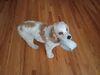 Filename=20240502_004.jpg
Filesize=246KiB
Dimensions=2048x1536
Date added=Mar 23, 2025 20240502_004.jpg