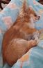 Filename=20240506_002.jpg
Filesize=382KiB
Dimensions=1288x2047
Date added=Mar 23, 2025 20240506_002.jpg