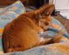 Filename=20240506_003.jpg
Filesize=298KiB
Dimensions=2048x1644
Date added=Mar 23, 2025 20240506_003.jpg