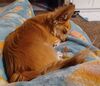 Filename=20240506_004.jpg
Filesize=349KiB
Dimensions=2048x1763
Date added=Mar 23, 2025 20240506_004.jpg