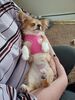 Filename=20240509_002.jpg
Filesize=471KiB
Dimensions=1536x2048
Date added=Mar 23, 2025 20240509_002.jpg