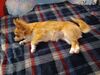 Filename=20240510_003.jpg
Filesize=615KiB
Dimensions=2048x1536
Date added=Mar 23, 2025 20240510_003.jpg