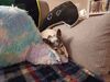 Filename=20240510_005.jpg
Filesize=583KiB
Dimensions=2048x1536
Date added=Mar 23, 2025 20240510_005.jpg