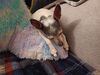 Filename=20240510_006.jpg
Filesize=609KiB
Dimensions=2048x1536
Date added=Mar 23, 2025 20240510_006.jpg