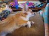 Filename=20240514_005.jpg
Filesize=405KiB
Dimensions=2048x1536
Date added=Mar 23, 2025 20240514_005.jpg
